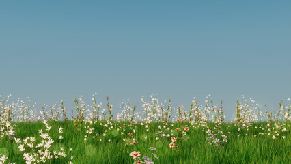 Spring Meadow with Long Grass, Wild Flowers and clear blue sky. Natural Wallpaper with space for text.