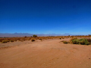 Fototapeta na wymiar Desierto de Atacama, San Pedro de Atacama, región de Antofagasta, Chile. 