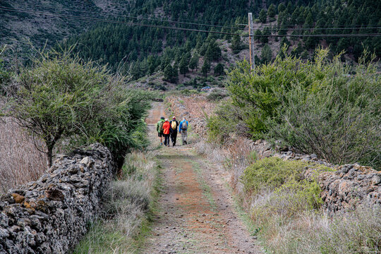 Camino