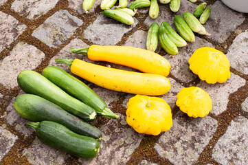 abundant harvest of zucchini ,cucumbers and squash,summer harvest, 