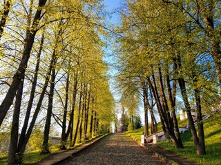 Warm lighted alley in Kostroma