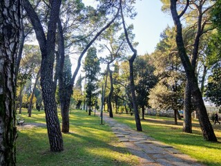 autumn in the park in Podgorica 