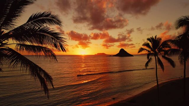 Beautiful reverse reveal of palm trees and china mans hat at sunrise in Hawaii.