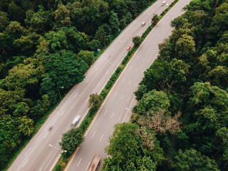  Aerial view of dark green forest with road through
