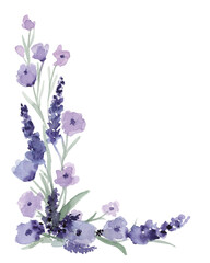 Purple lavender and lilac color flower border, watercolor painting hand drawn and painted, isolated on white background