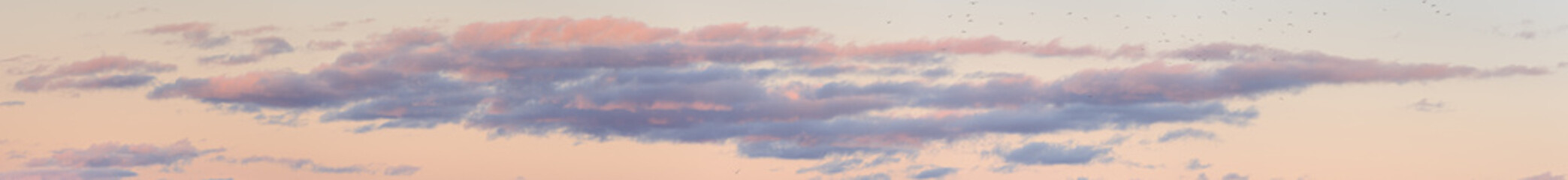 Fototapeta premium Colorful purple sunset twilight evening sky. High-resolution stitch panorama image. the colours of the sunset.