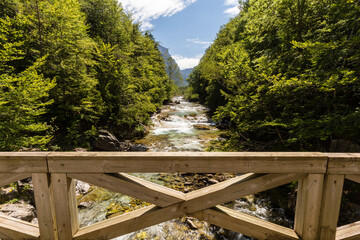 Fototapeta na wymiar Pont en bois sur un torrent de montagne encadré par les arbres de l'étage montagnard. Puente de Briet sur le Rio Arazas, Parc National d'Ordesa