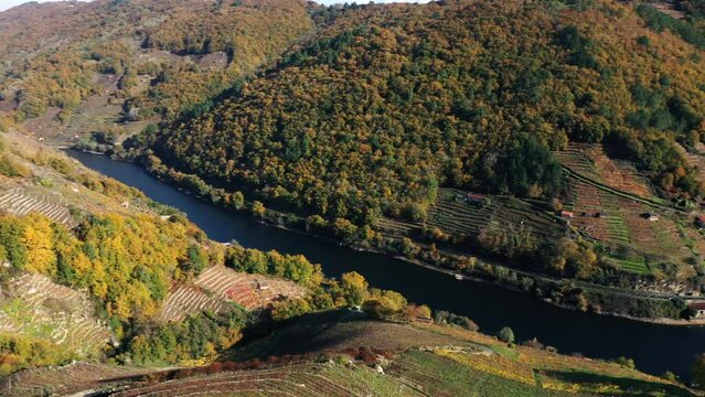 Ribeira Sacra Vineyards And Forest During Autumn With River Sil At Daytime In Galicia, Spain. - aerial panning
