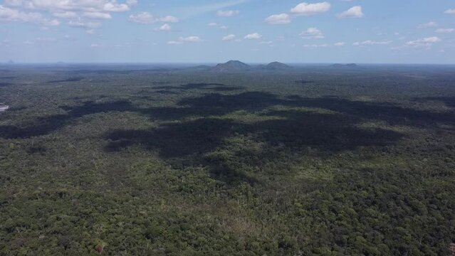 SELVA DEL AMAZONAS EN COLOMBIA