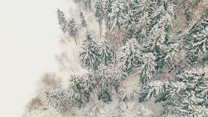 Top view of winter snowy forest