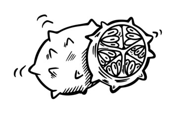 Kiwano are drawn by hand with a black outline. Vector graphics, sketch. Vector illustration