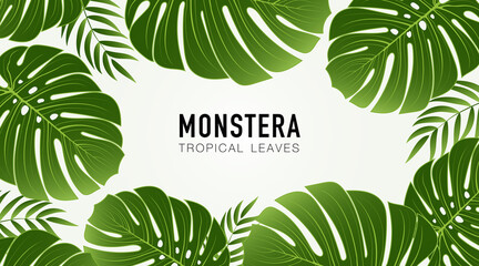 Monstera leaf green tropical on white background.Tropical palm monstera leaves, Nature graphic design element. Hand drawn monstera palm leaves vector concept. Space for your text. © MooJook