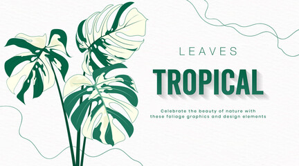 Tropical green monstera leaf on white background. Hand drawn monstera leaf concept. Botanical vector creative design. Modern simple tropical leaves graphic element. Vector illustration