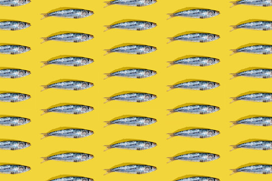 A mosaic of (Engraulis encrasicolus) Fresh silver-colored anchovies on a yellow background. Fish rich in vitamin B with an exquisite flavor. Anchoas