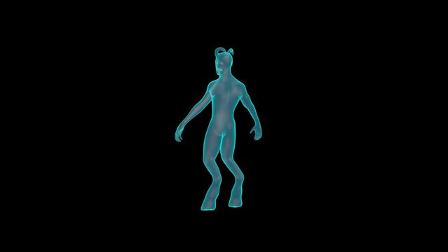 A Faun Holograph turntable render