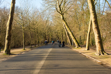 people walking in the park 