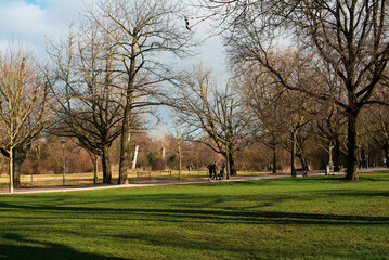 Fototapeta na wymiar springtime in the park 
