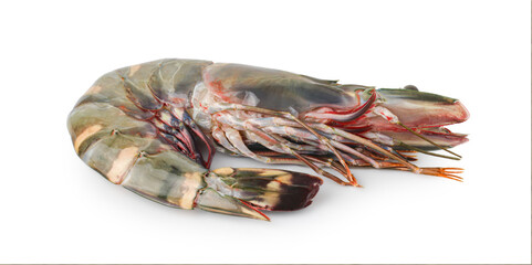 Red cooked prawn or tiger shrimp isolated on white background with clipping path.