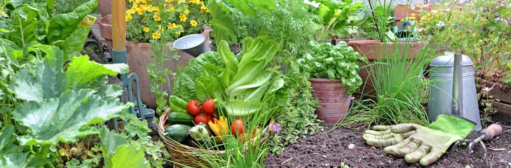 Zelfklevend Fotobehang Tuin moestuin met verse groenten in mand en aromatische planten