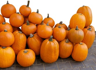 various colorful pumpkins as vegetable or decoration