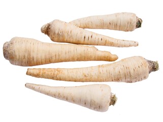 parsley roots isolated on white background