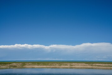 On the grassland by Qinghai Lake, there are blue sky and white clouds in the sky