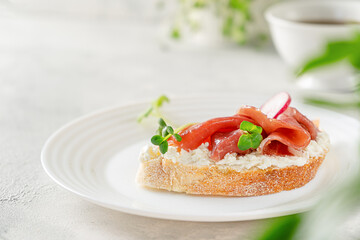 Open prosciutto sandwich with cream cheese, radish and microgreens on white background. Copy space