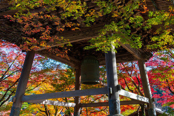 静岡県伊豆市修善寺　紅葉シーズンの修禅寺
