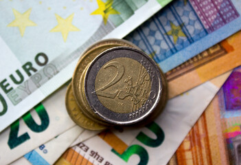 The euro is the currency of the European Union