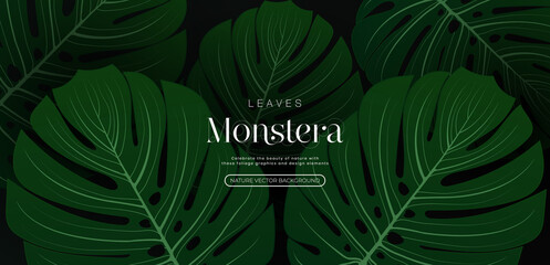 Green monstera leaves nature background. Tropical monstera leaf texture vector. Dark green leaves wallpaper graphic design element. Modern simple hand drawn tropical leaves. Vector illustration