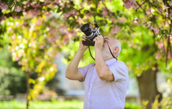 male photographer enjoy cherry blossom. travel and walking in cherry blossom park. hobby at retirement. tourism and holiday. traveler camera man under sakura bloom. travel concept. Time to relax
