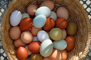 Fresh organic eggs small batch.