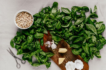 Photo of a fresh healthy ingridients like green basil, fresh garlic, roast nut, parmegiano cheese to make homemade pesto sauce on a wooden desk indoors daylight