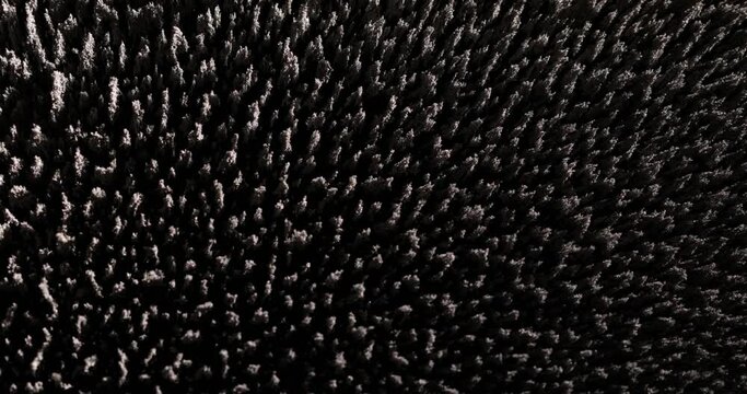 Eisenstaub in einem Magnetfeld bildet sch&ouml;nen Hintergrund aus abstrakten Strukturen