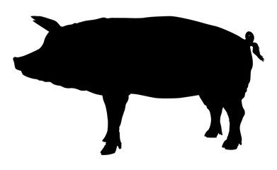 vector illustration of a pig silhouette
