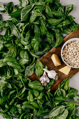 Photo of a fresh healthy ingridients like green basil, fresh garlic, roast nut, parmegiano cheese to make homemade pesto sauce on a wooden desk indoors daylight