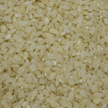 white rice background