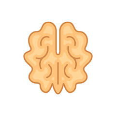 Walnut color icon. Vector isolated colored nut illustration