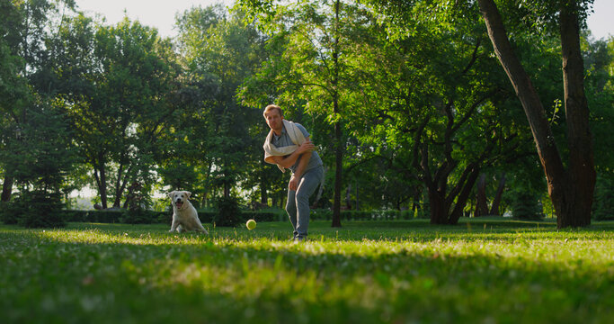 Attractive owner throwing ball in park. Energetic dog catching toy with mouth.
