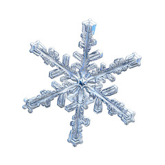 Snowflake isolated on white background. Macro photo of real snow crystal: elegant stellar dendrite...