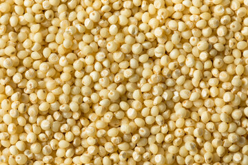 Raw Dry Organic Millet Grain