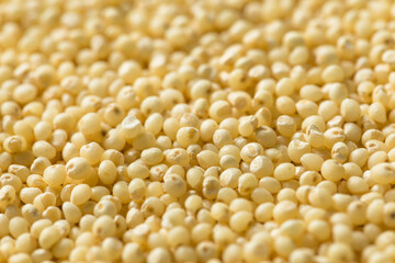 Raw Dry Organic Millet Grain