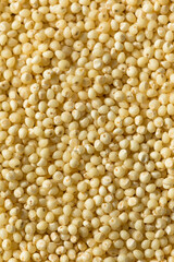 Raw Dry Organic Millet Grain