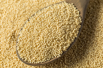 Raw Dry Organic Millet Grain