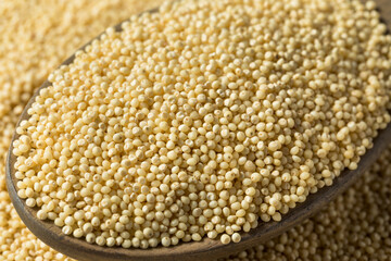 Raw Dry Organic Millet Grain