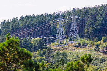 Fototapeta na wymiar View of power lines passing through the forest