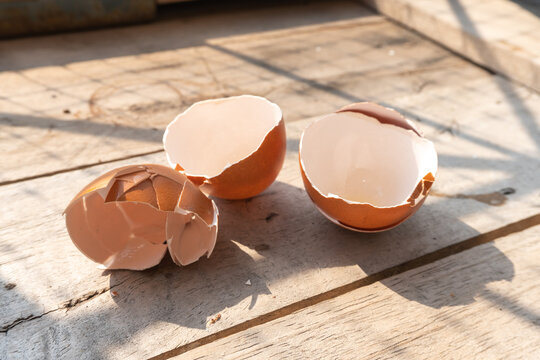 eggshells are broken on wooden table with morning sunlight of the windows