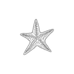 Fototapeta na wymiar Starfish. Vector wild ocean animal mollusk underwater life doodle black white line isolated illustration.