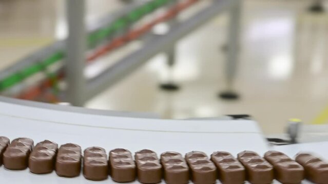 Conveyor with passing chocolate bars. Chocolate Factory.