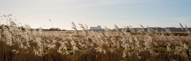 Sizewell Nuclear Power Station from Minsmere Nature Reserve